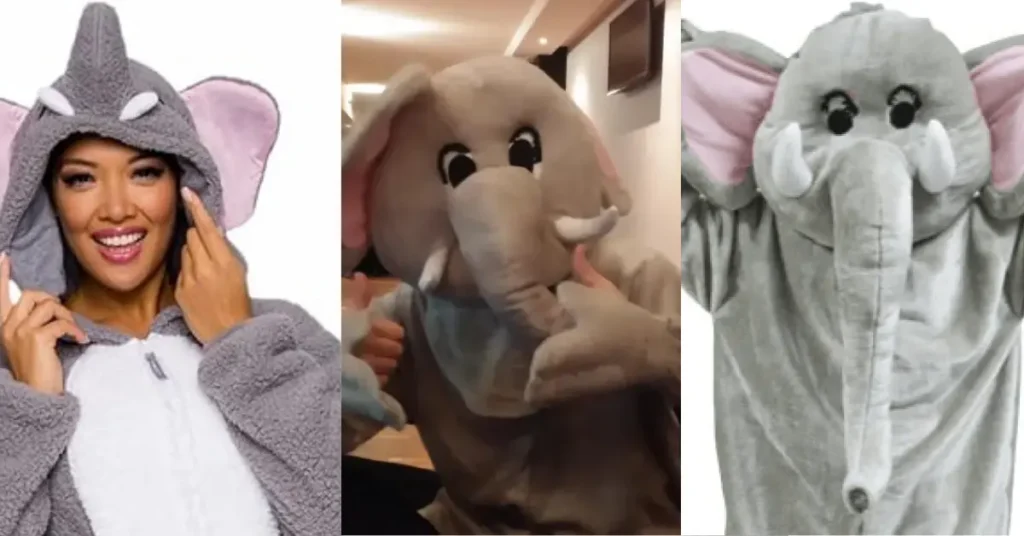 Wear Coldplay Elephant Suit at Concert